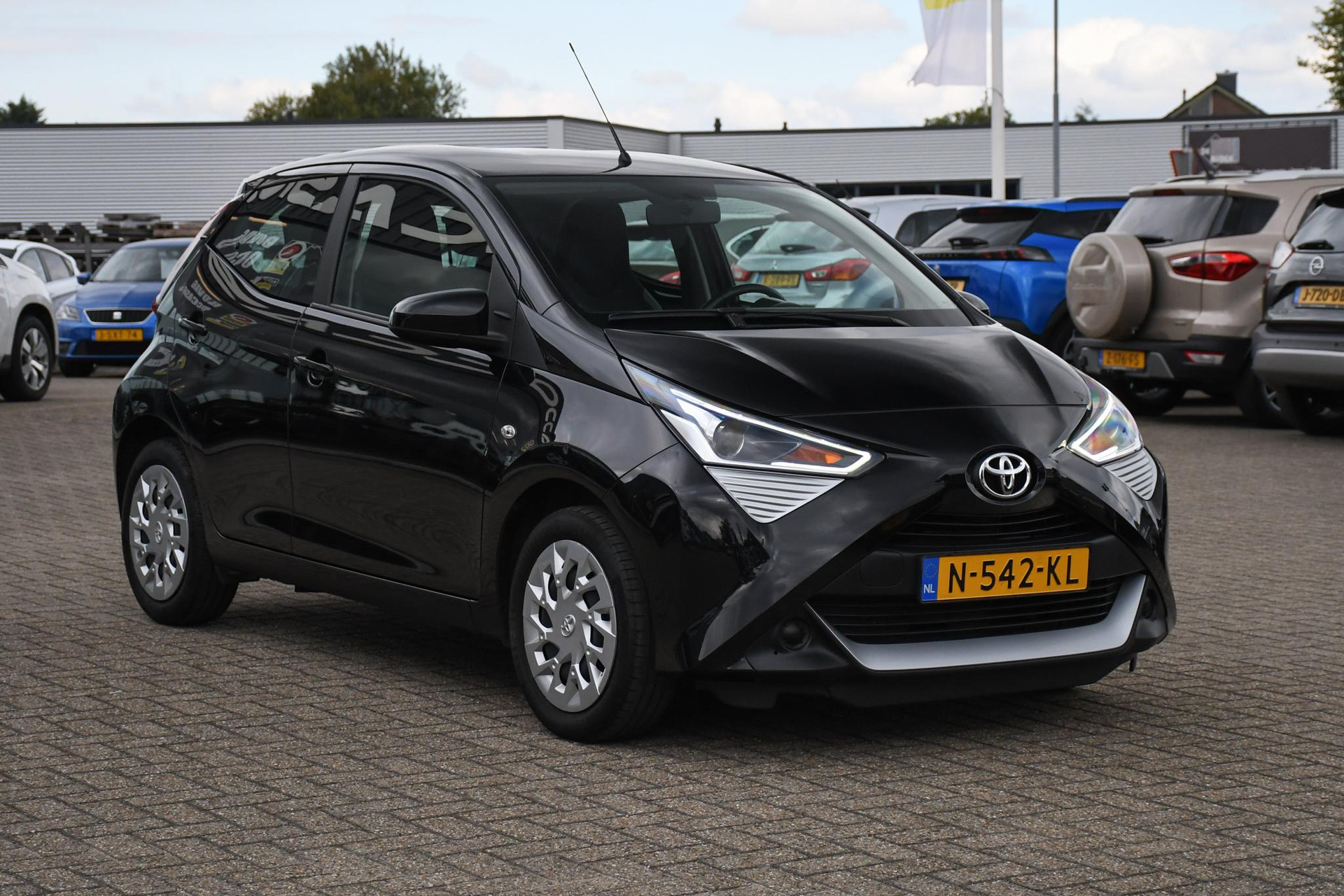 47897911-2.jpg