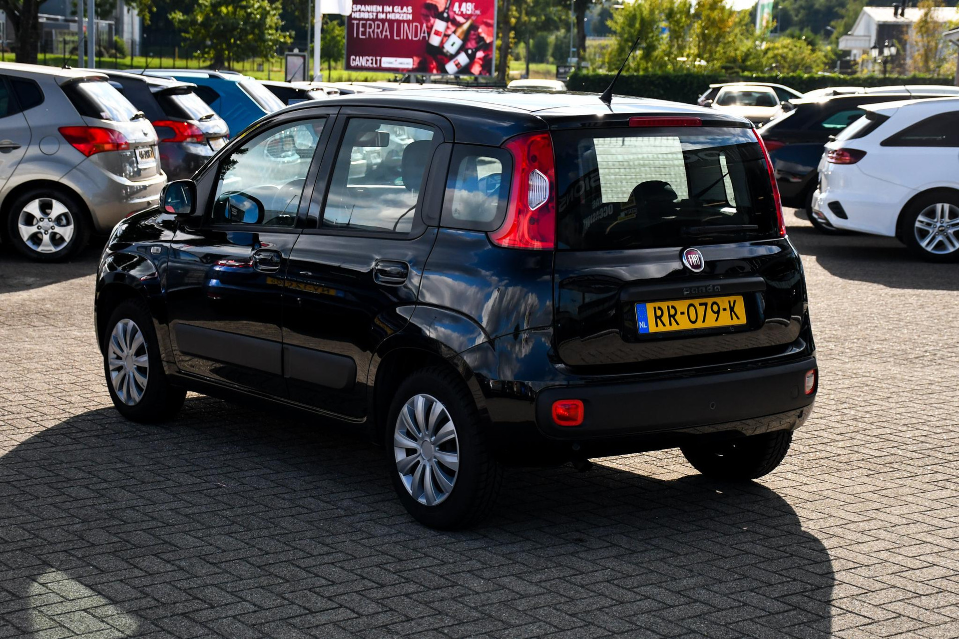 47959058-7.jpg