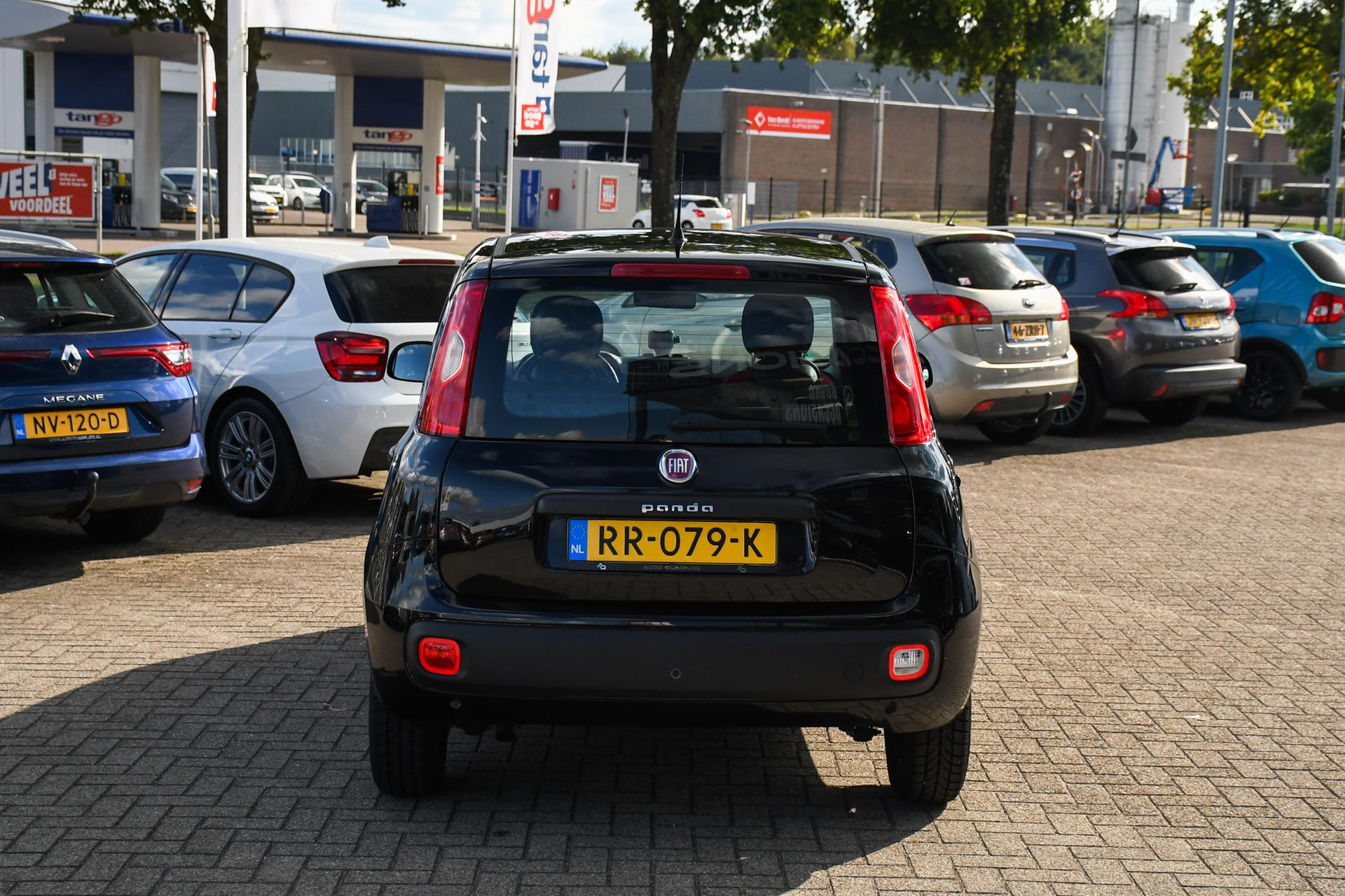 47959058-8.jpg