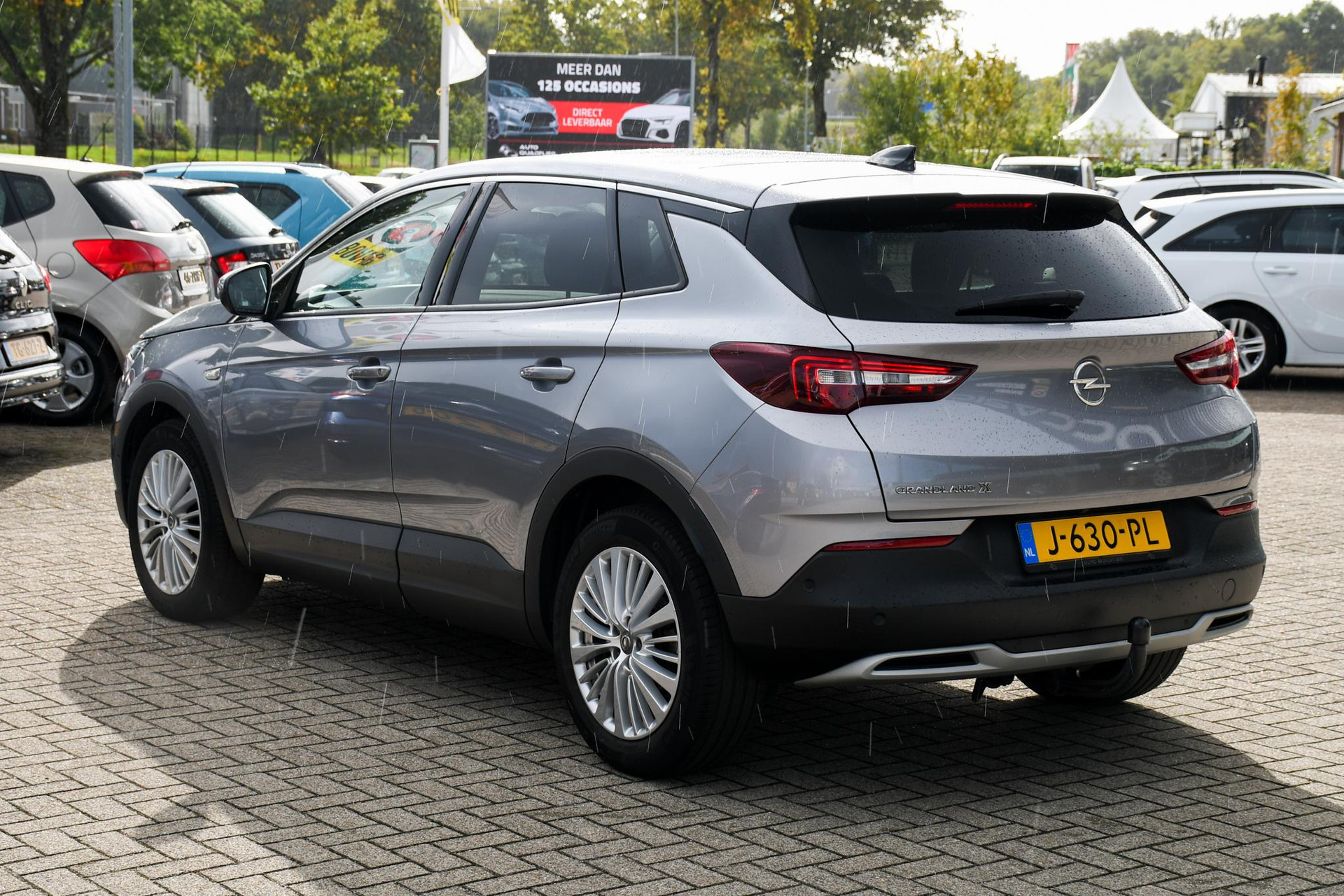 48111376-7.jpg
