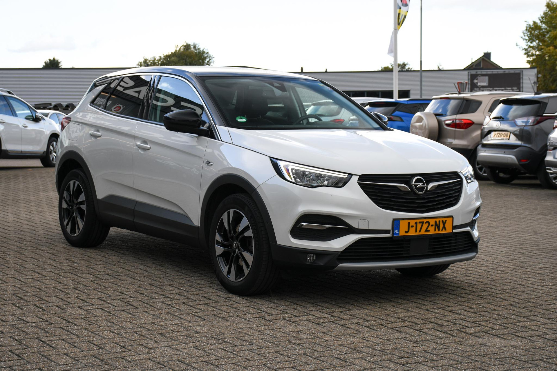 48154908-2.jpg