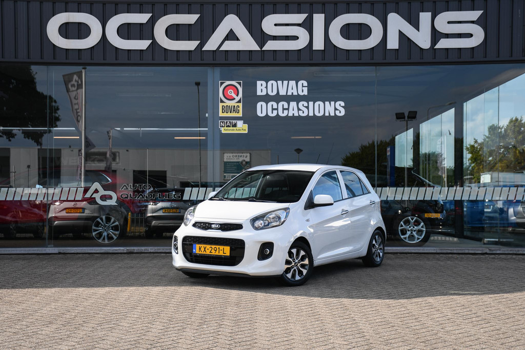 55609241